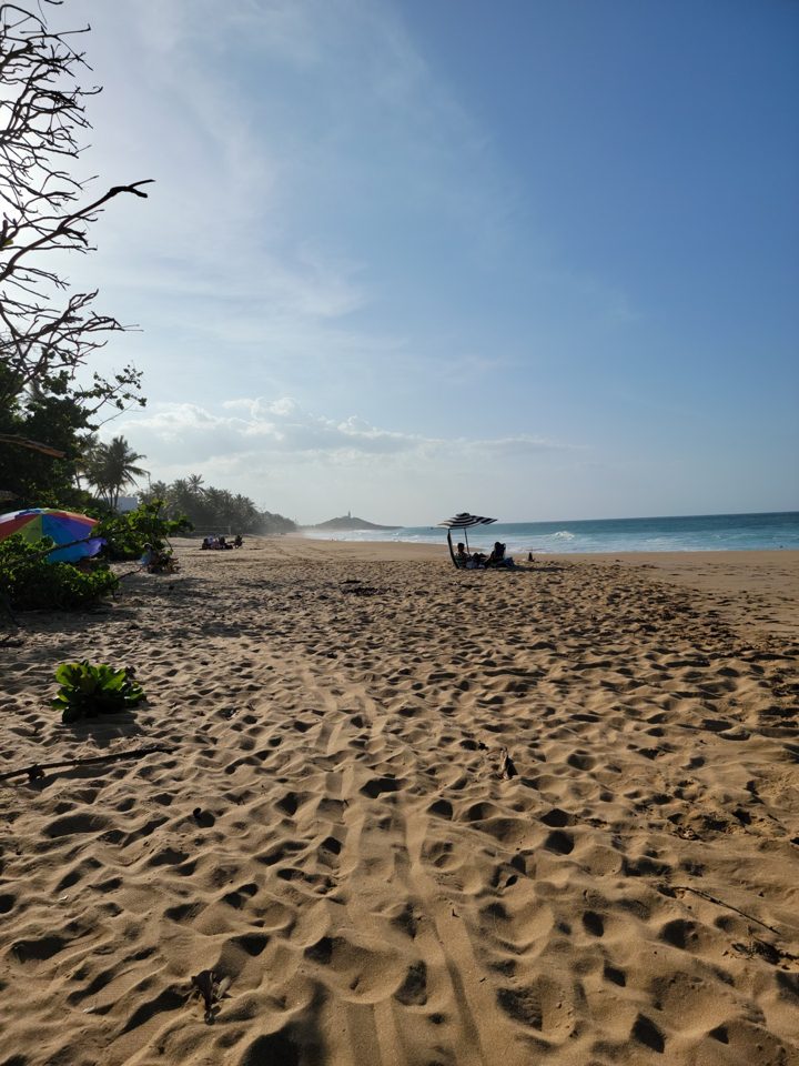 A beach from the family’s travels